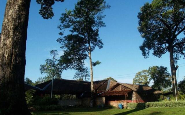 Borneo Proboscis River Lodge