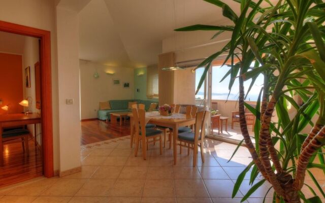 Apartment Villa Molina