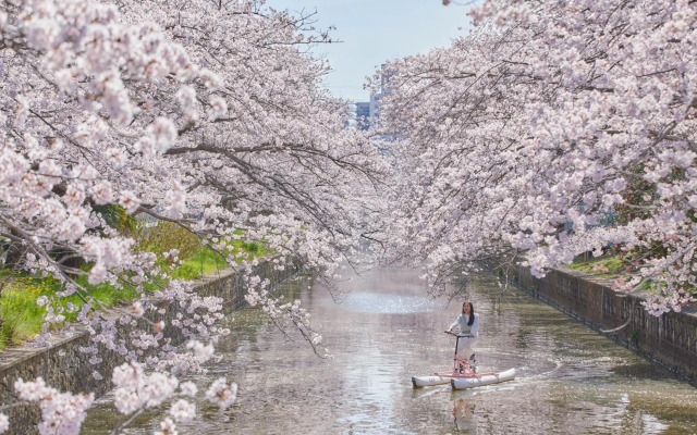 Hoshino Resorts BEB5 Tsuchiura