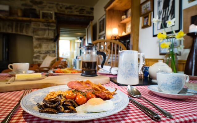 Nantgwynfaen Organic Farm B&B Wales