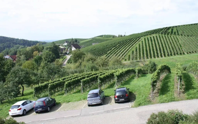 Pension am Weinberg Heidi Spinner