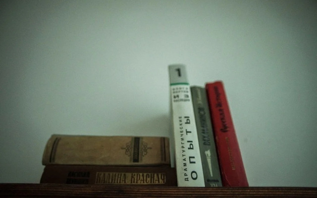 Kinohostel Petya i Volk