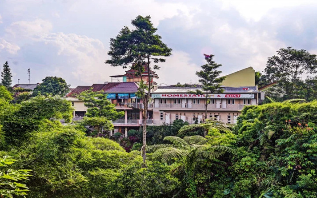 OYO 90516 RGH Syariah Argopeni