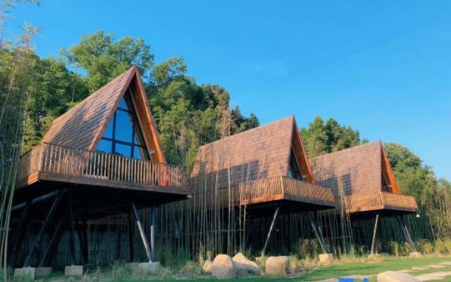 Tree Frog Resort Hotel