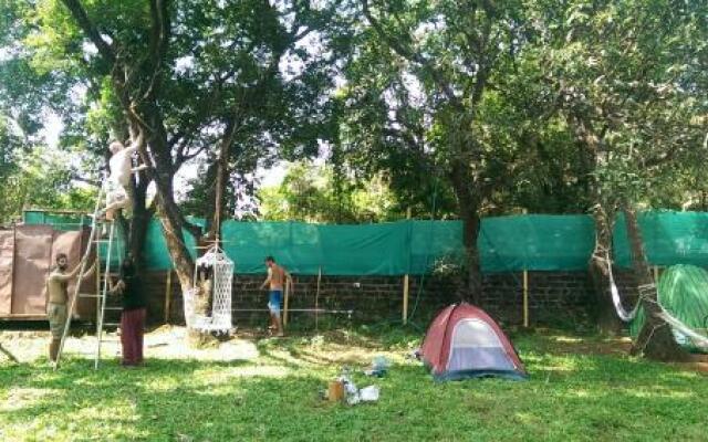 The Lazy Llama Hostel