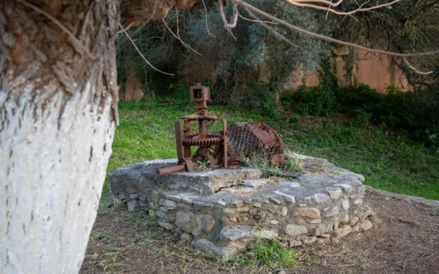 Neriana Villa - Garden Paradise