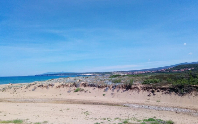 Green House - Woods And Beaches - Sardinia