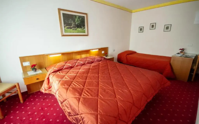 Hotel Stella Alpina
