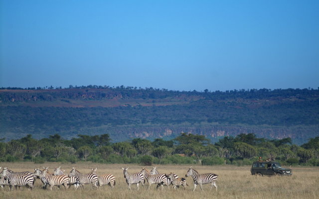 Mbweha Camp Lake Nakuru