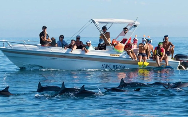 Sugar Reef West Coast
