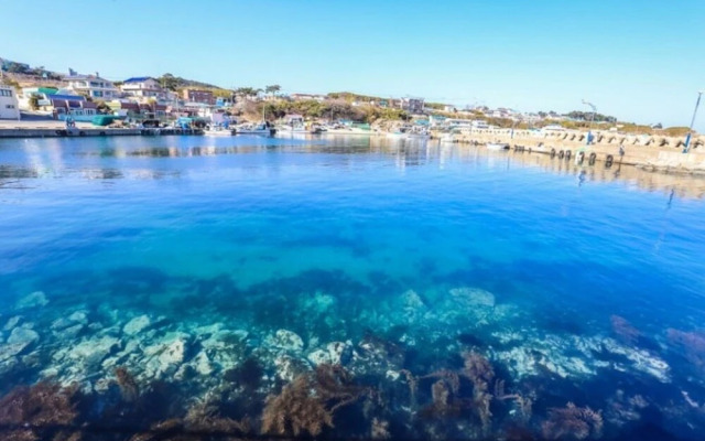 Pohang Sagyejeol Guryongpo Pension