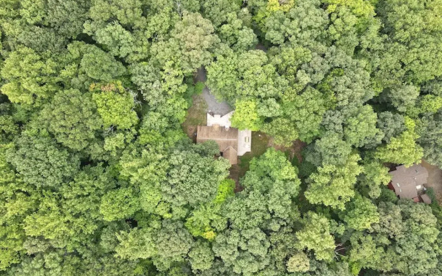 Dogwood Knoll - Wooded Escape