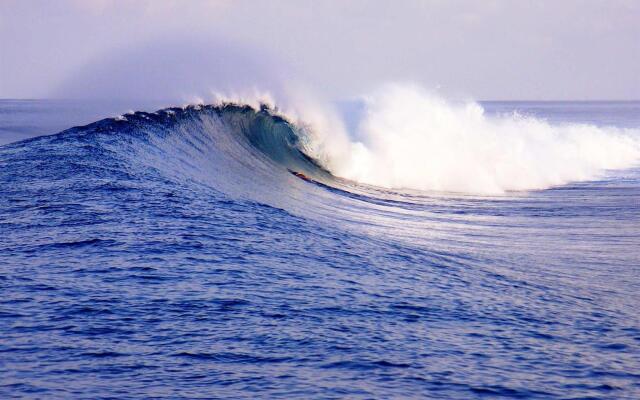 Serene Blue Bowls Surf Inn