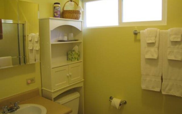 Volcano Fern Forest Retreat