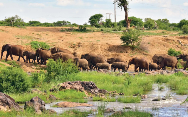 Madikwe River Lodge