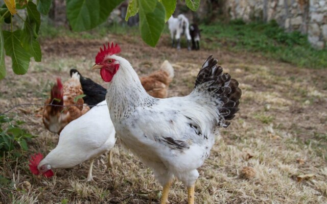 Podere Le Rote Private Farmhouse
