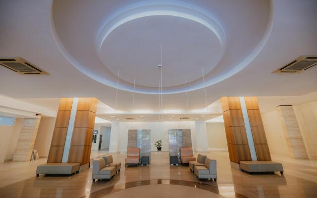 Rex Ollie 231 TR Service Suites