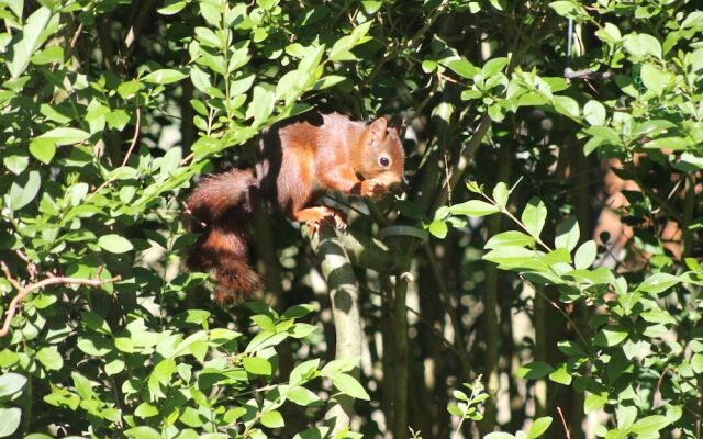 TopParken Recreatiepark de Wielerbaan