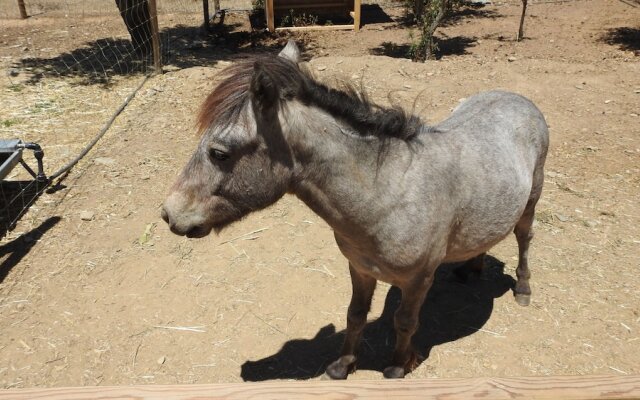 Reflexos d'Alma Turismo Rural