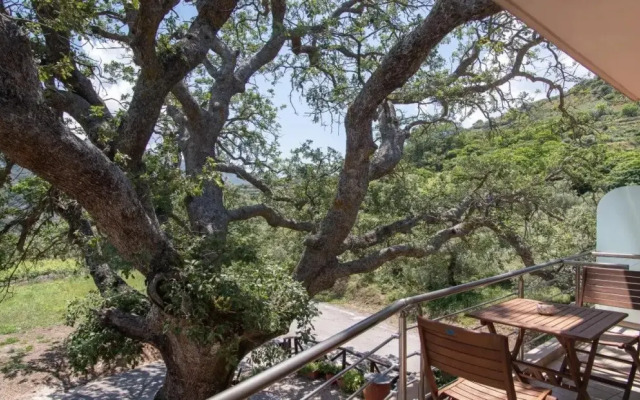 Antartisa B&B