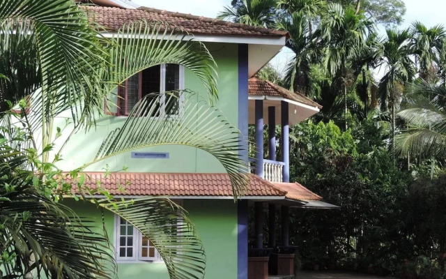 Room-wayanad Stay the Pepper Suite