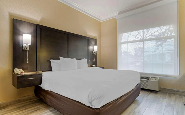 Comfort Suites Kingwood Houston North