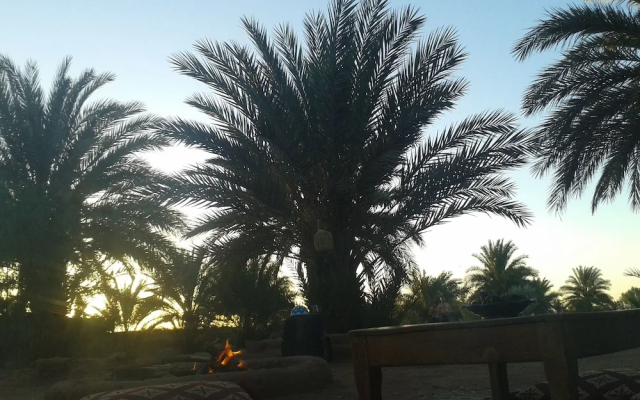 Sahara Source Vie
