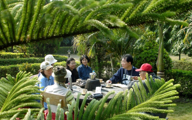 Jungle Safari Resort