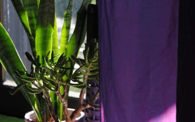 Rustico Felix Affittacamere