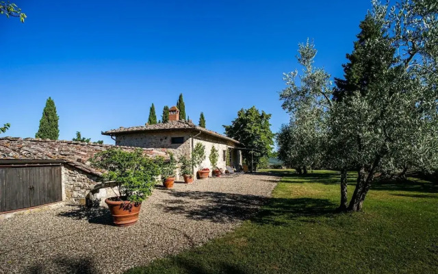 Oliveta a Retreat Surrounded by Olive Trees