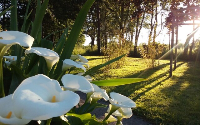 Auberge du Moulin d'Audenfort Guest House