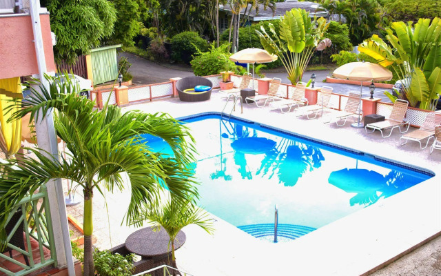 The Palms Resort
