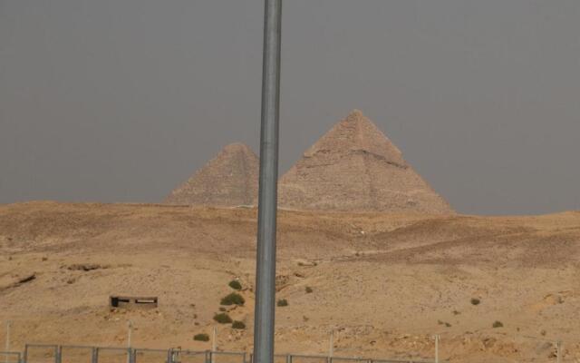 King Tut hostel