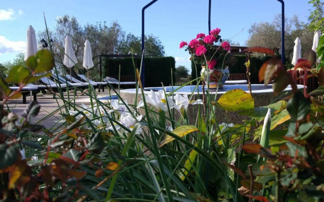 Agroturismo Sa Vinya d'en Palerm