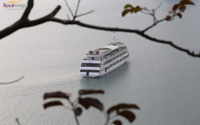 Royal Wings Cruise