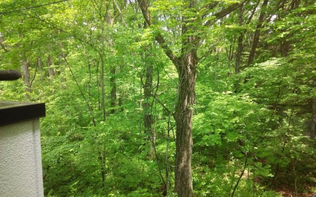 SEVEN RESORTS Kitakaruizawa