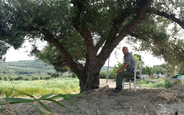 Villa Phyllia, a Property With History