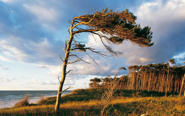 Strandhotel Dunenmeer