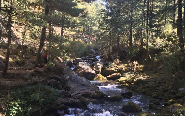 Shivadya - A Boutique Hotel