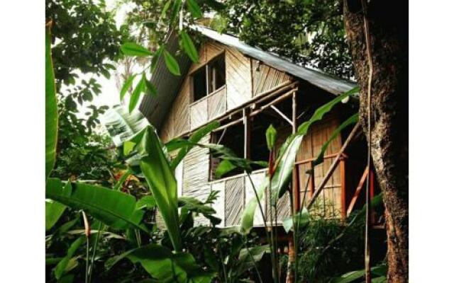 Bambu Hostel