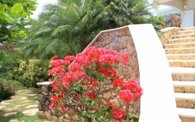 Dream Villa Vitet-2107
