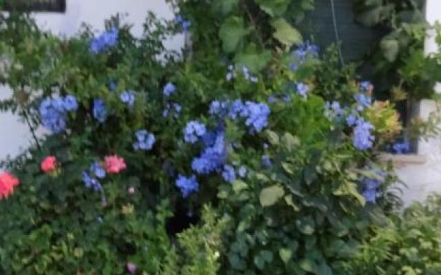 Casa Rural Francisca