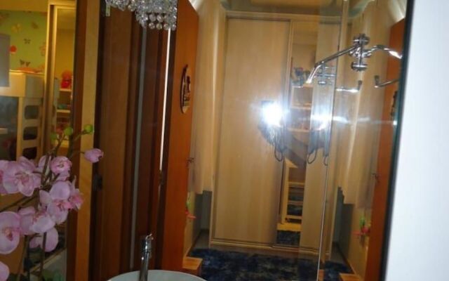 Nautilus Family - Beto Carrero - Penha