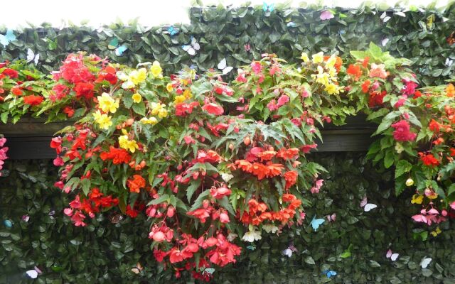 Sunnyfield B&B