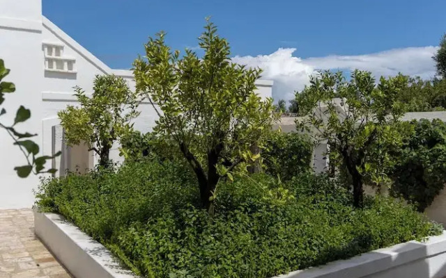Masseria Stefanodelconte
