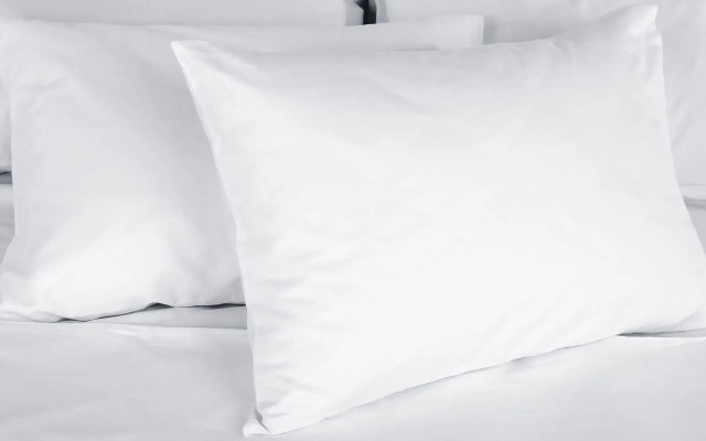 Oak Hill Inn & Suites