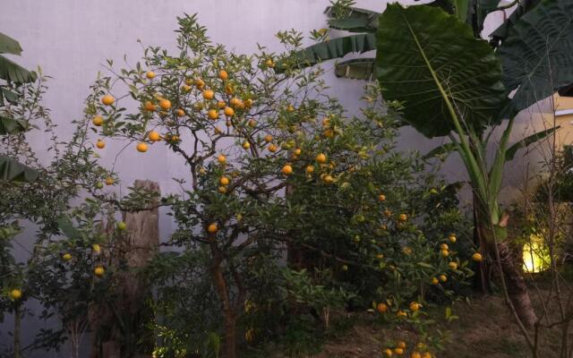 Sapa Charming Homestay