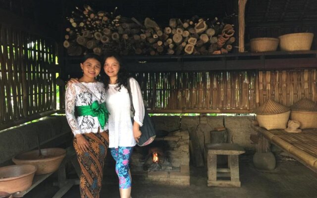 Padi Bali Eco Villas