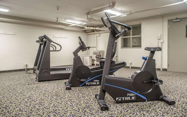 Comfort Inn Lundys Lane