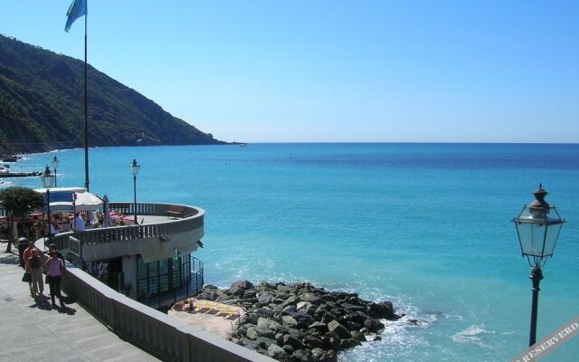 Casmona